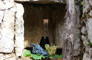 crnogorska vina